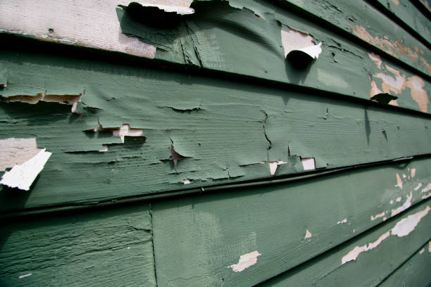 Best Commercial Junk Removal  in Monticello, KY