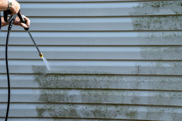 Best Hoarding Cleanup  in Monticello, KY
